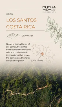 Buena Vida Amazon brand content piece