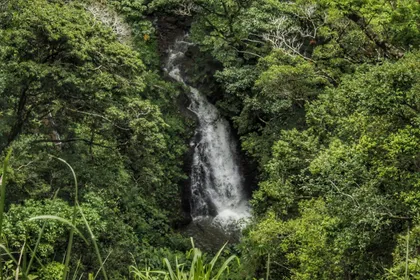 Waterfall in the Monteverde cloud forest
