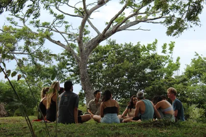 Circle of people sitting under a tree