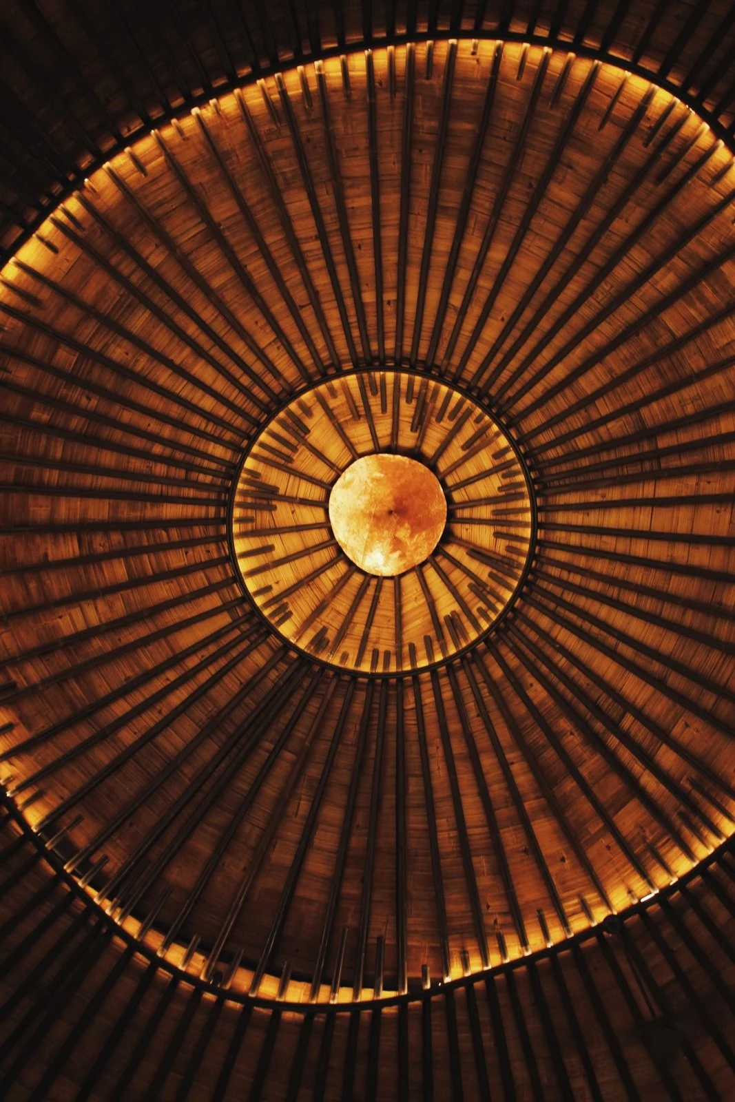 Bamboo dome of La Maloca seen from below