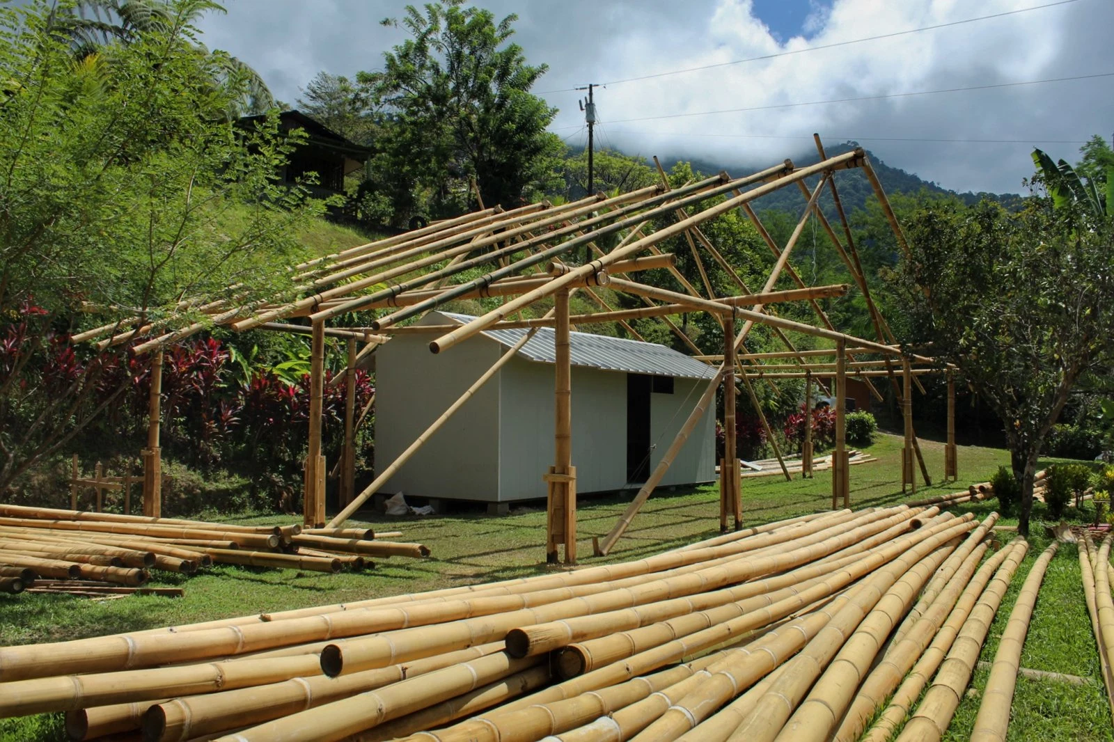 Bamboo structure of the seed bank under construction