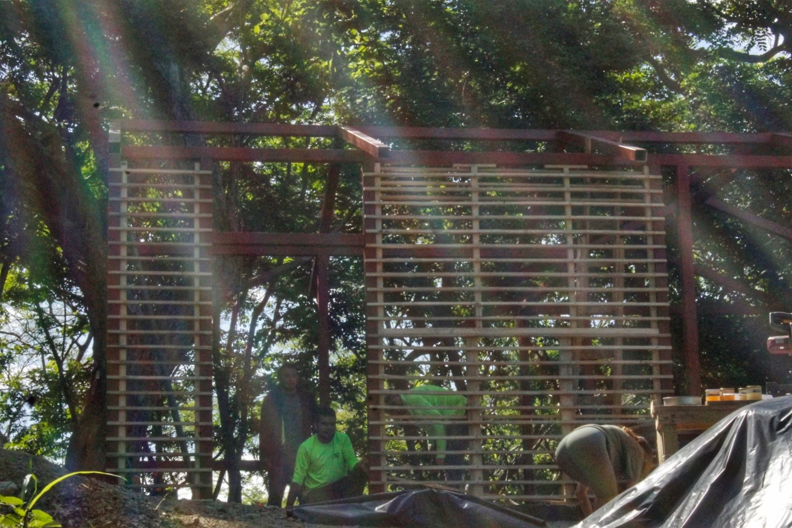 Timber structure among trees