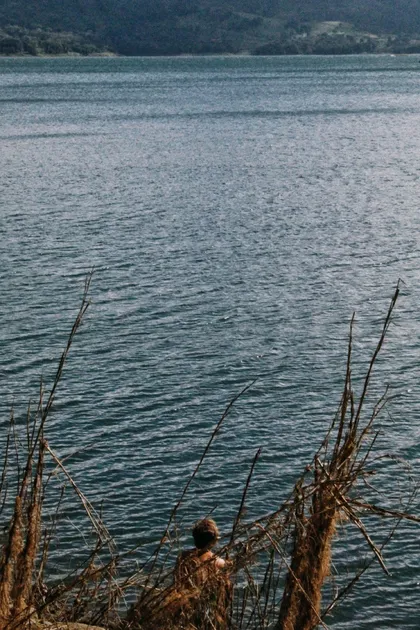 Lake with vegetation on the shore