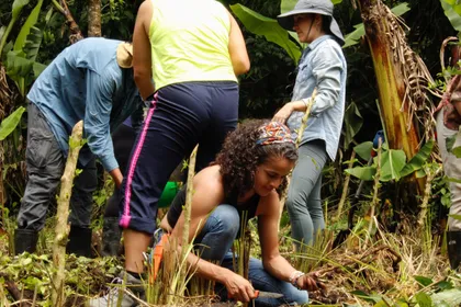 People working the soil with their hands