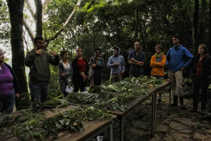 Group gathered around a long table in the forest