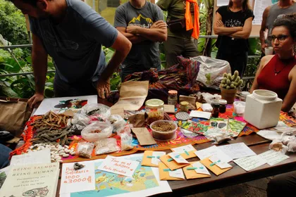 Table with seeds and course materials