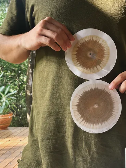 Hands holding two used coffee filters