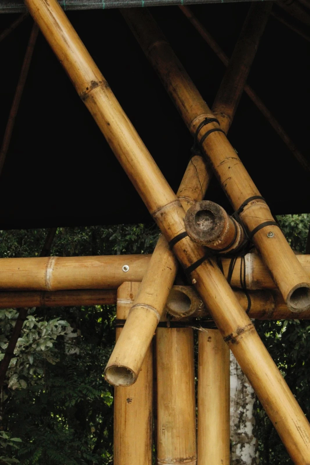 Bamboo joint detail