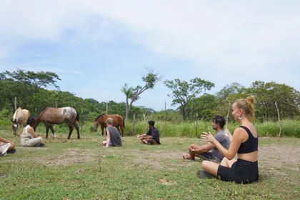 Outdoor yoga practice next to horses at Tierramor